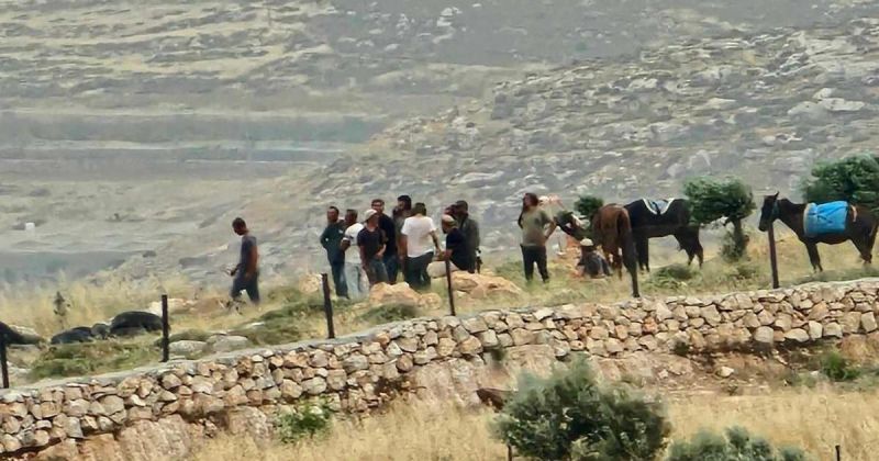 إصابة 4 مواطنين واقتلاع 60 شجرة بهجوم للمستعمرين جنوب يطا