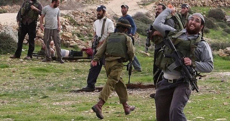 مستوطنون يهاجمون منازل المواطنين في قرية تل جنوب غرب نابلس