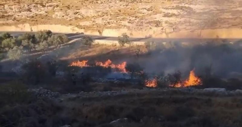 هيئة الجدار: المستوطنون أشعلوا 799 حريقا في الضفة حتى تموز الماضي