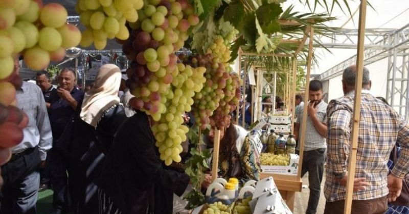 افتتاح مهرجان أيام العنب الخليلي في البلدة القديمة وسط مدينة الخليل