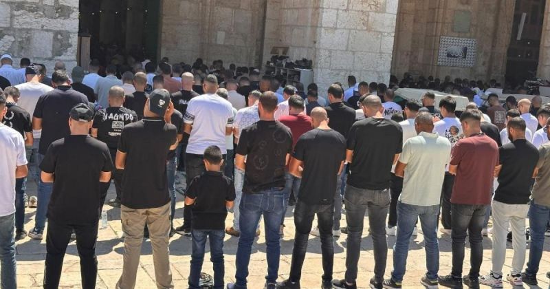 الاحتلال يبعد 3 مواطنين عن المسجد الأقصى