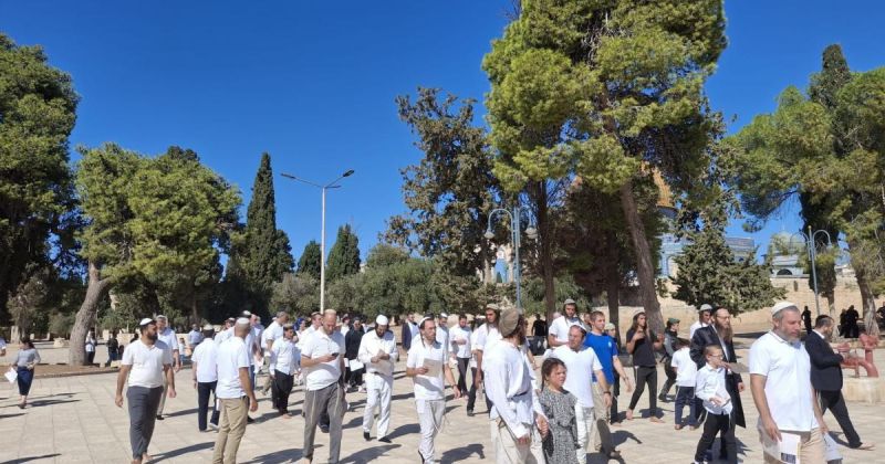 مئات المستوطنين يقتحمون المسجد الأقصى المبارك