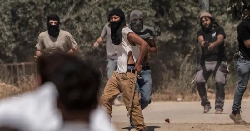 مستوطنون يهاجمون منطقة "أبو الحمرا" في بيتا جنوب نابلس