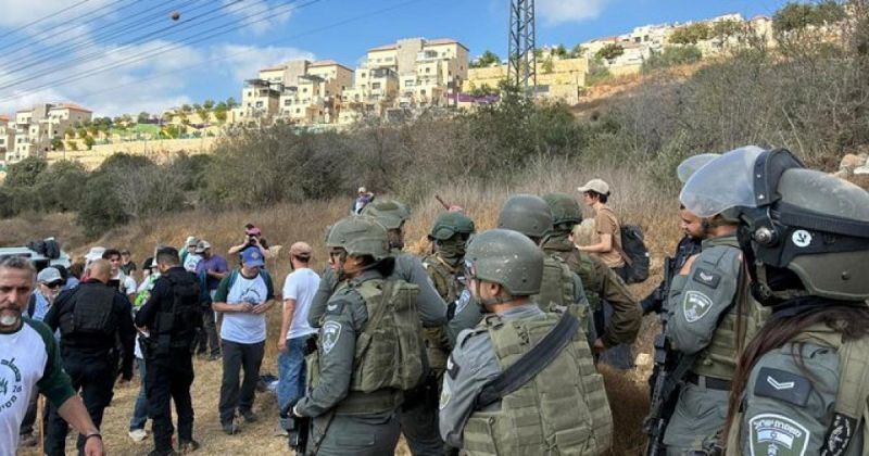 الاحتلال يوقف 80 ناشطا ومرشحا للكونغرس خلال قطف الزيتون قرب نحالين
