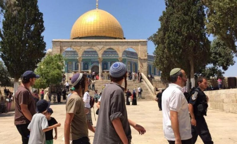 1478 مستوطنًا اقتحموا المسجد الأقصى خلال أسبوع