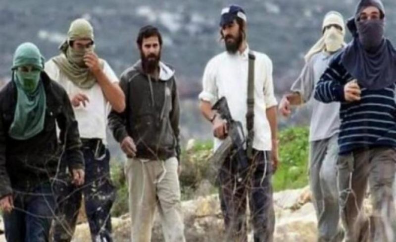 مستوطنون يهاجمون برقا شرق رام الله ويحاولون إحراق منزل