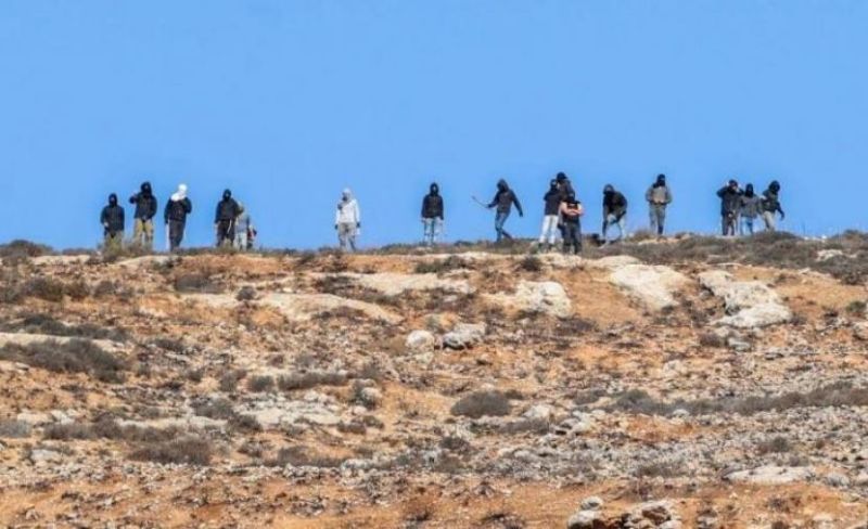 مستوطنو الاحتلال يسرقون عشرات المواشي خلال اقتحام سلواد وأهالي البلدة يتصدون لهم
