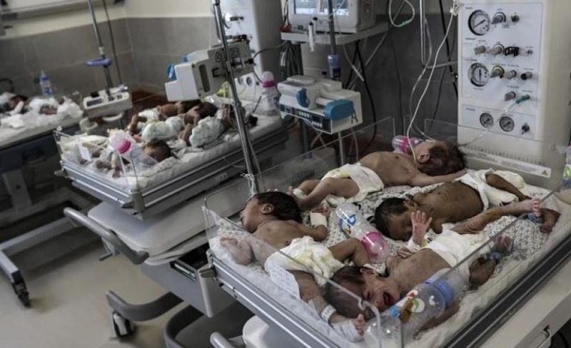 5493 مولودًا جديدًا في غزة خلال آب مقابل 203 حالات وفاة