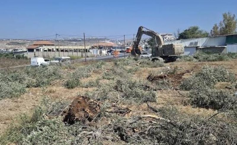 الاحتلال يجرف 250 دونما ويخطر بهدم منشآت في جنين