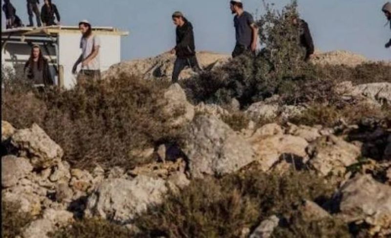 مستوطنون يهددون 47 عائلة فلسطينية بالتهجير من تجمع الرأس الأحمر جنوب طوباس
