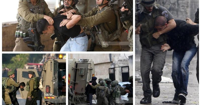 الاحتلال يعتقل 12 فلسطينيًا ويقتحم مدارس بالضفة.. ومستوطنون يحرقون أراضي ويعتدون على مواطنين