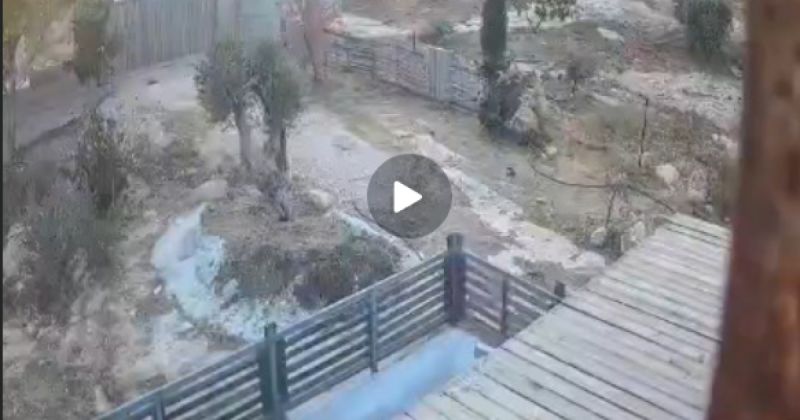 الجيش الإسرائيلي ينفي وقوع هجوم بإطلاق النار قرب سوسيا ويعلن استيلاء فلسطيني على سلاح وإصابة إسرائيلي بالحجارة