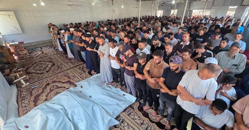 8 شهداء في يوم دامٍ.. قصف في جنين وغزة وتصاعد هجمات المستعمرين بالضفة