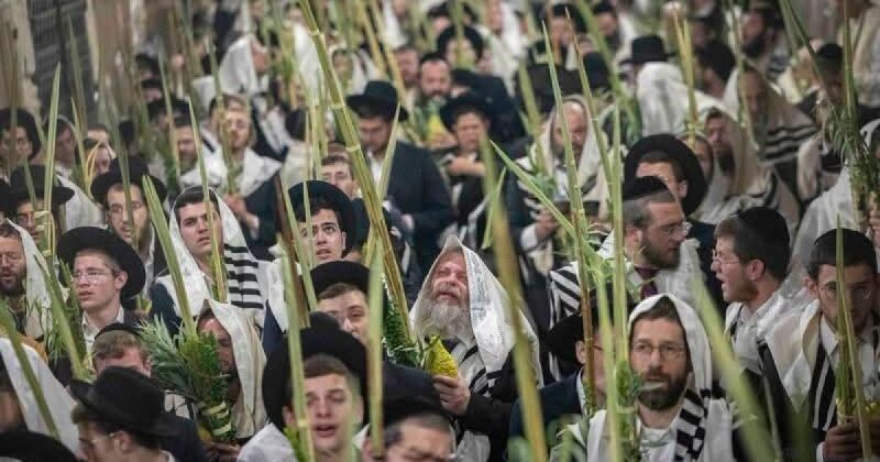 الأقصى تحت ضغط اقتحامات عيد العرش.. 1500 مستوطن وقيود على المصلين واعتقالات في القدس