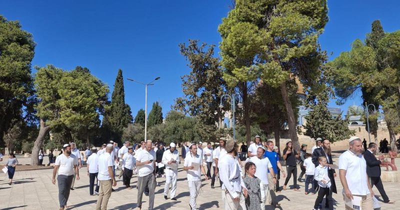 تصعيد متواصل في القدس: 1910 مستوطنين يقتحمون الأقصى واعتقال واقتحامات وسط توسع الهدم والاستيطان