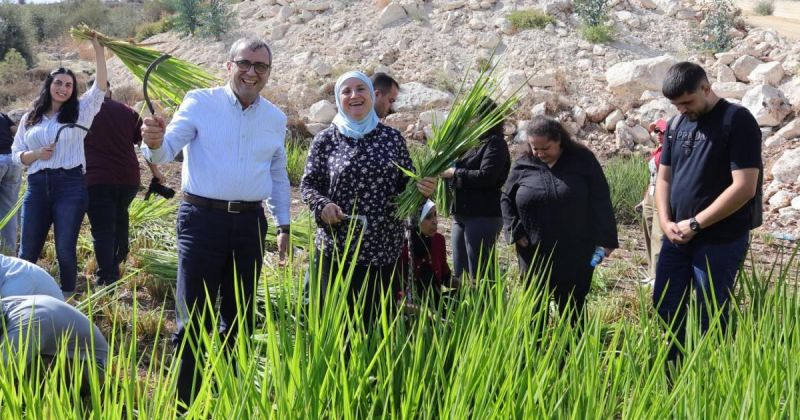 بمشاركة سمحان.. حصاد المرحلة الأولى من مشروع زراعي وبيئي في بلدة صفا