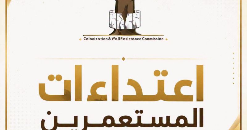 رصد 13 اعتداءً في 4 محافظات  تستهدف موسم الزيتون والأراضي الزراعية