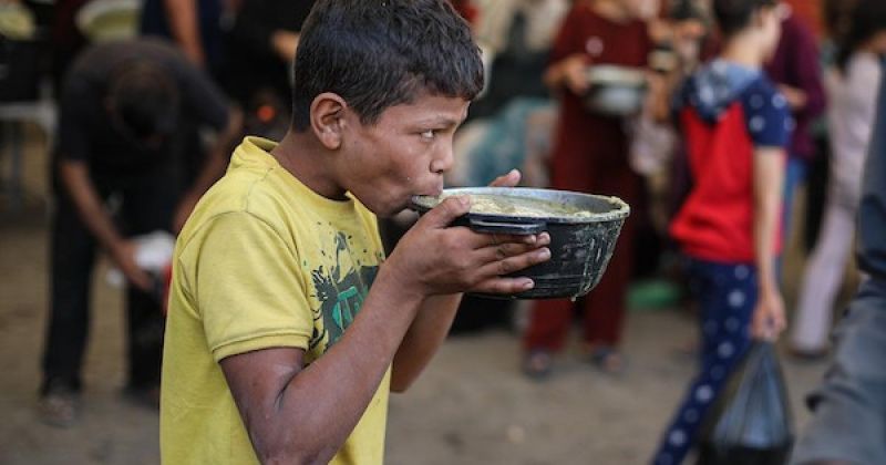 هندسة التجويع في غزة تتصاعد.. 7 مخابز مهددة بالإغلاق ونقص الغذاء يفاقم الكارثة الإنسانية