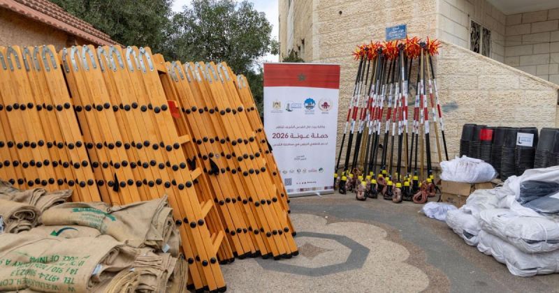 بدعم مغربي.. إطلاق حملة "عونة" لمساندة قاطفي الزيتون في القدس