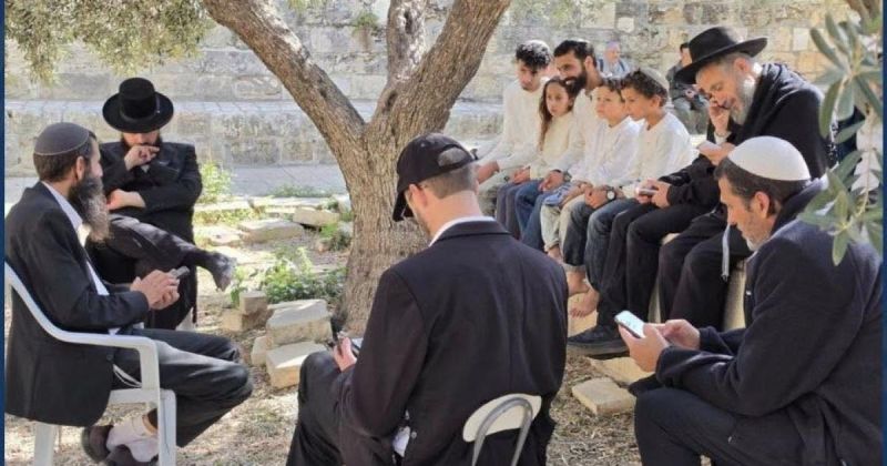 القدس: 138 مستوطنًا يقتحمون الأقصى واعتقال شابين وإبعاد صحفي عن المسجد وعطاءات لبناء 1080 وحدة استيطانية