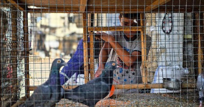 بعد 120 عامًا من التجارة.. سوق الحبوب التاريخي في خان يونس يستعيد نشاطه رغم آثار الحرب