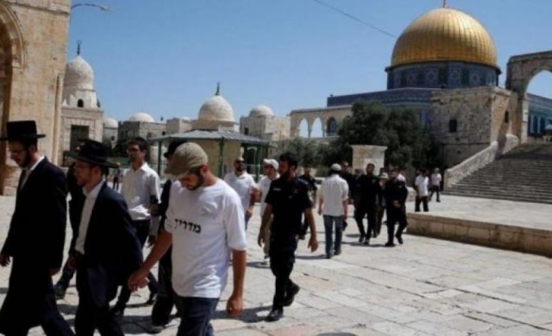 141 مستوطنًا يقتحمون الأقصى ويؤدون طقوسًا تلمودية