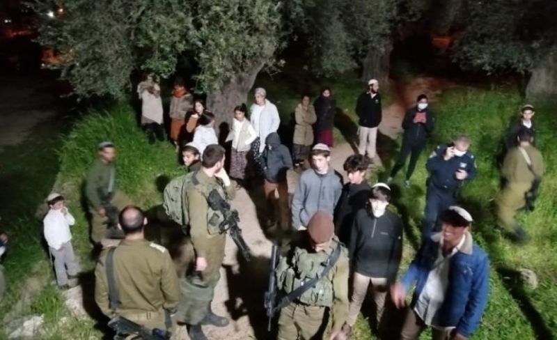 المستوطنون يهاجمون قرية المغير واعتقال شابين