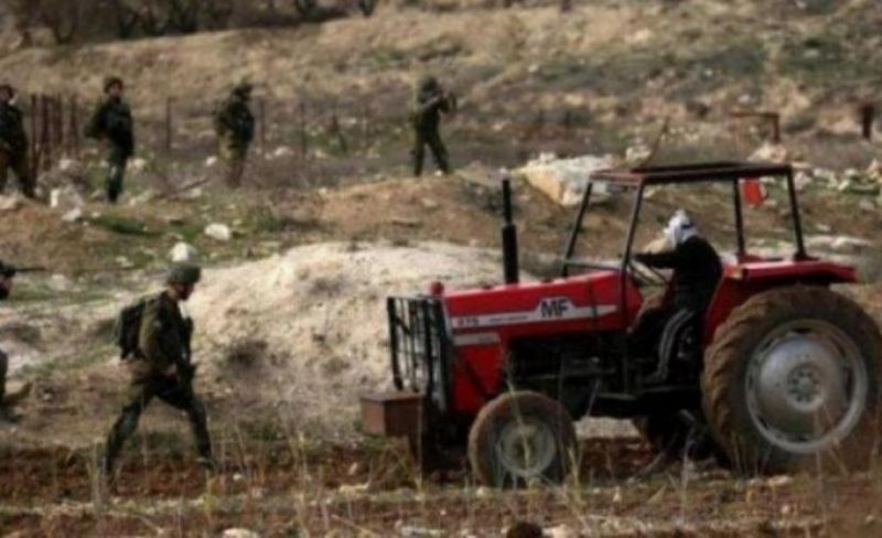 مستوطنون يهاجمون رعاة الأغنام في الأغوار