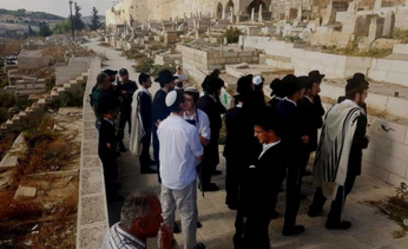 مستوطنون يدنسون مقبرة باب الرحمة المحاذية للمسجد الأقصى
