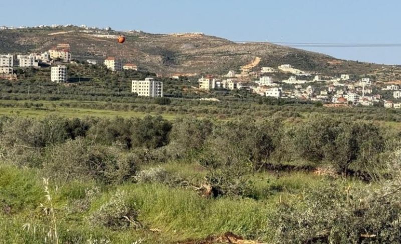 الاحتلال يجرف أشجارًا في بلدة برقة