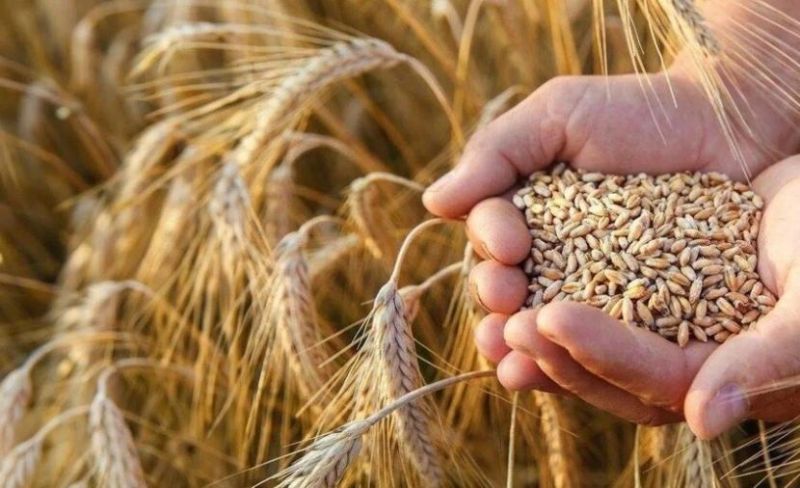 المائدة العالمية تواجه قفزة سعرية هي الأعلى في 3 سنوات