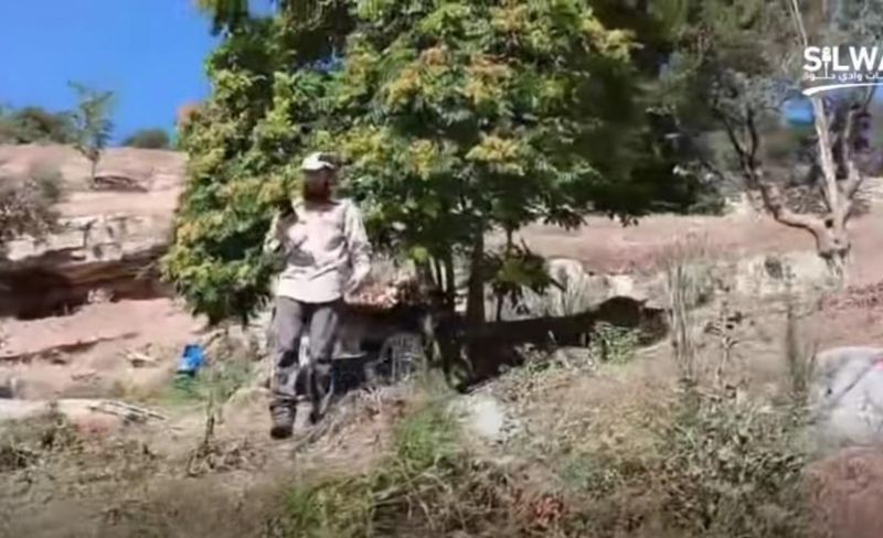 الاحتلال يقتحم أرض بطريركية الروم الأرثوذكس في سلوان