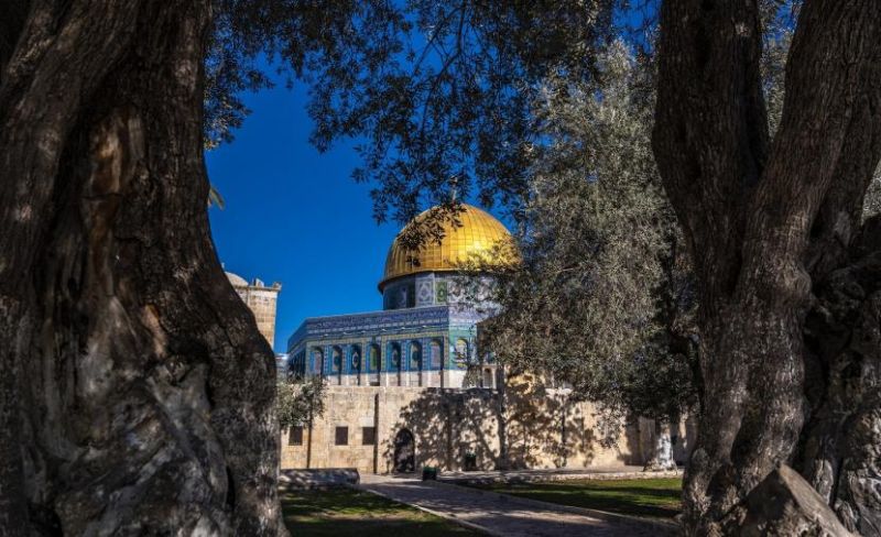 حالة الطقس في فلسطين اليوم الجمعة 17 يوليو