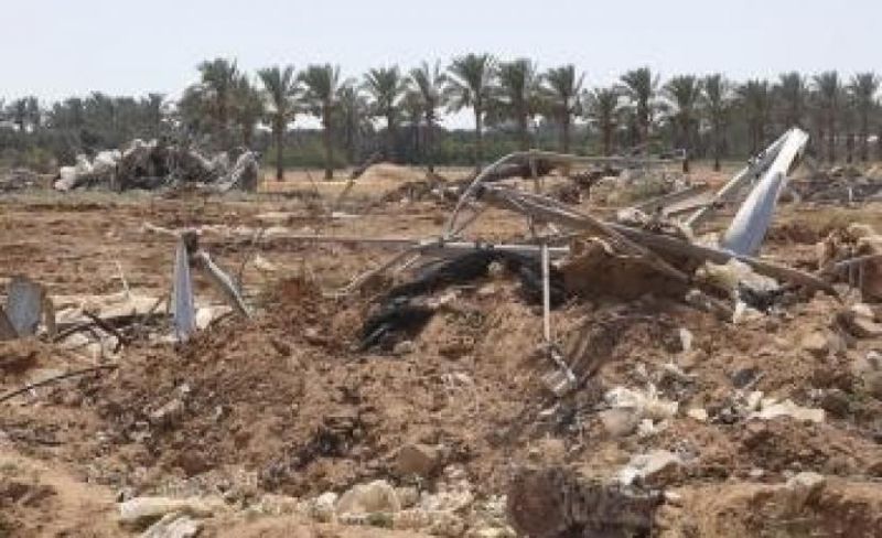 الزراعة بغزة : 3.5 مليار دولار خسائر القطاع الزراعي جراء الحرب
