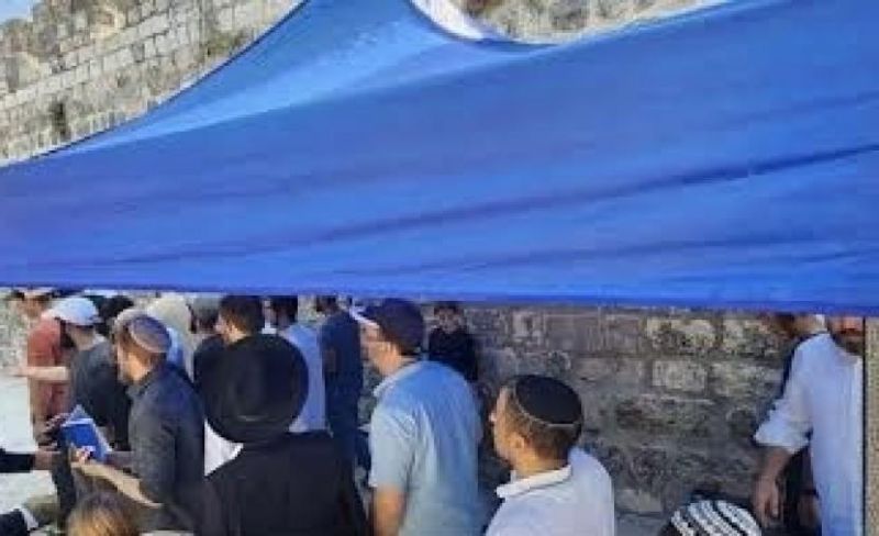 "المجاهدين": نصب الاحتلال خيمة داخل الأقصى سابقة خطيرة تستوجب تحركًا إسلاميًا عاجلًا
