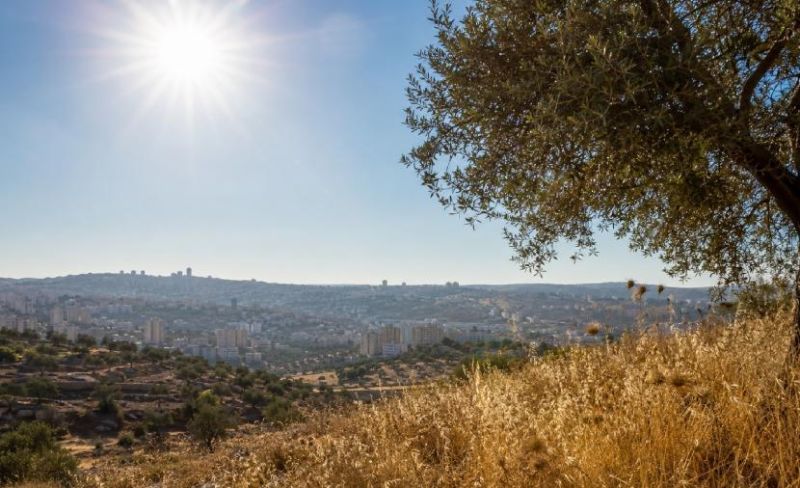 الأرصاد الفلسطينية تحذر: أجواء شديدة الحرارة اليوم الثلاثاء وهذه ساعات الذروة