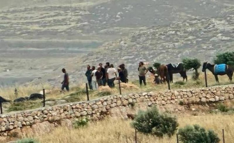 مستوطنون يهاجمون رعاة الأغنام ومواطنين جنوب الخليل