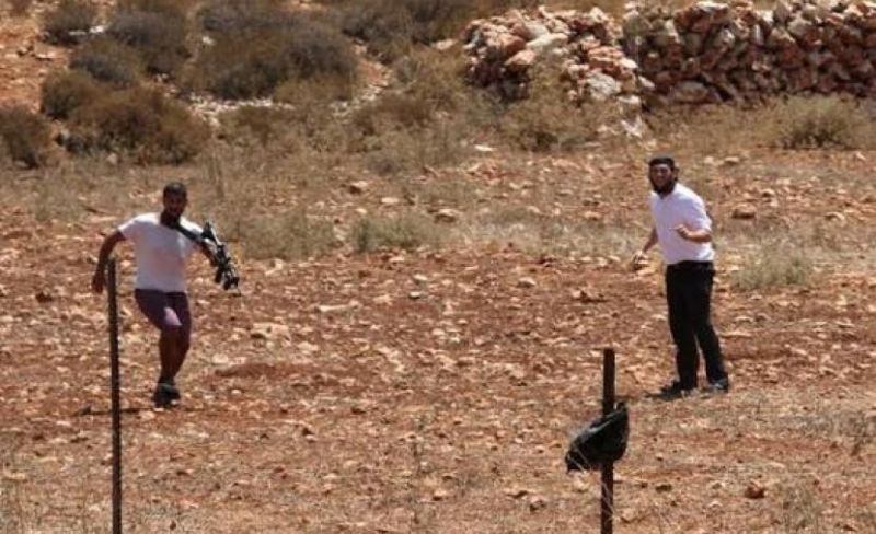 مستوطنون يسيجون أراضي رعوية في الأغوار الشمالية