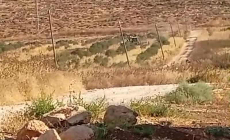 الاحتلال يقتلع أشجار زيتون في بيت فوريك وسالم شرق نابلس