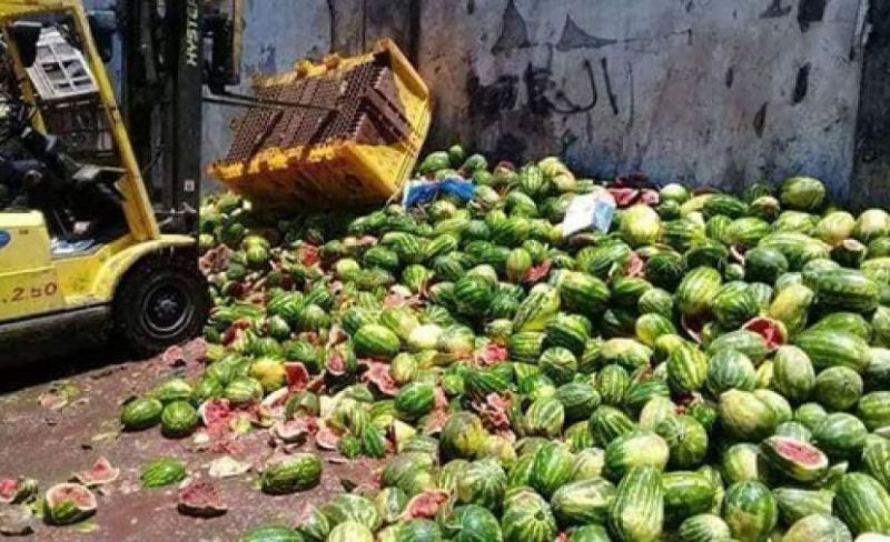 إتلاف كمية من الفاكهة غير الصالحة للاستهلاك في غزة