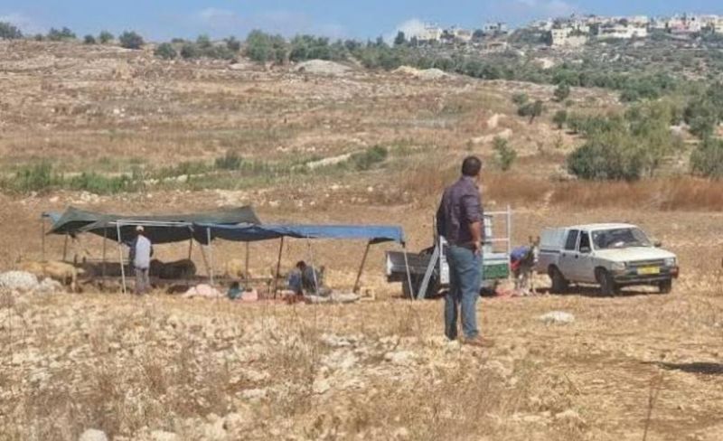 في الأغوار.. استيطان رعوي يلتهم الأرض ويدفع الفلسطينيين نحو التهجير القسري