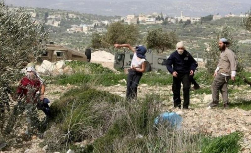 مستوطنون يعتدون على خط مياه في طوباس والاحتلال يعتقل شابًا
