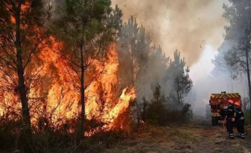 إجلاء آلاف السكان مع اتساع حرائق الغابات غرب كندا