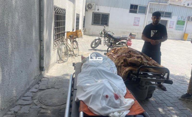الصحة: 1286 شهيدًا منذ وقف النار بغزة
