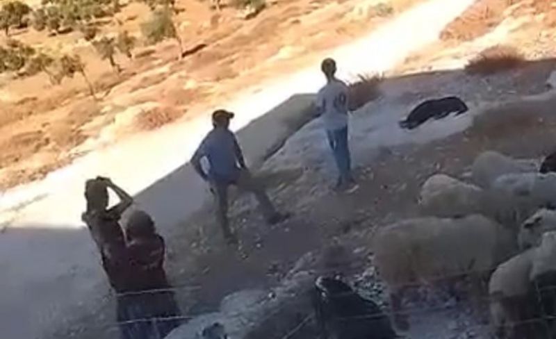 مستوطنون يقتحمون تجمع عرب الكعابنة شرقي رام الله
