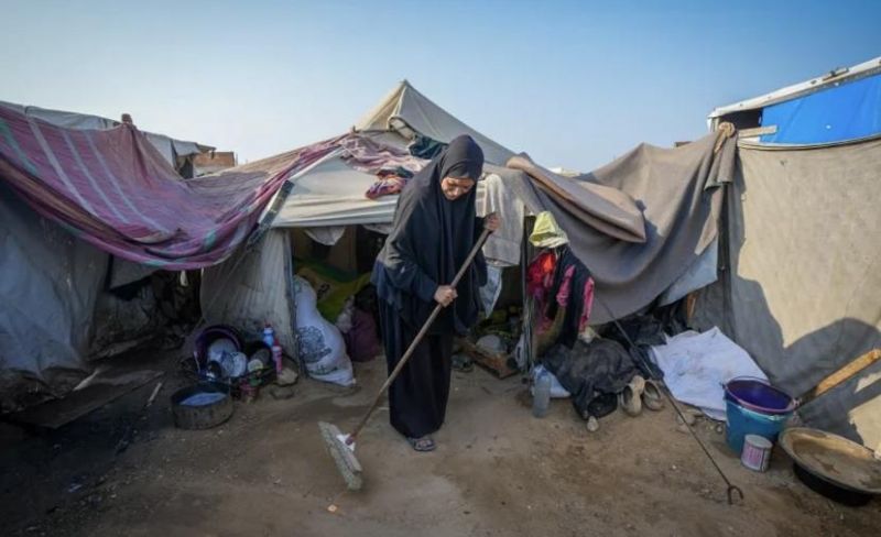 بين الحر والآفات.. مخيمات النزوح في غزة تواجه مخاطر صحية متفاقمة