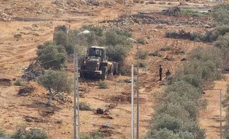 الاحتلال يقتلع أكثر من 400 شجرة زيتون في بيت ريما برام الله