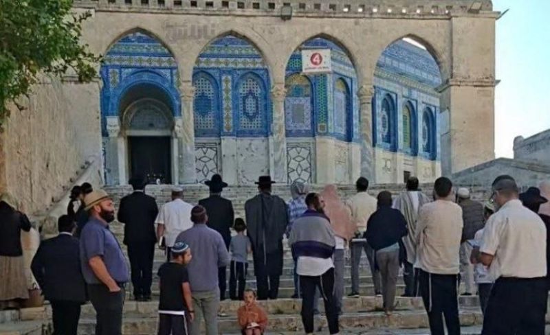 عشرات المستوطنين يقتحمون الأقصى ويؤدون طقوسًا تلمودية أمام قبة الصخرة