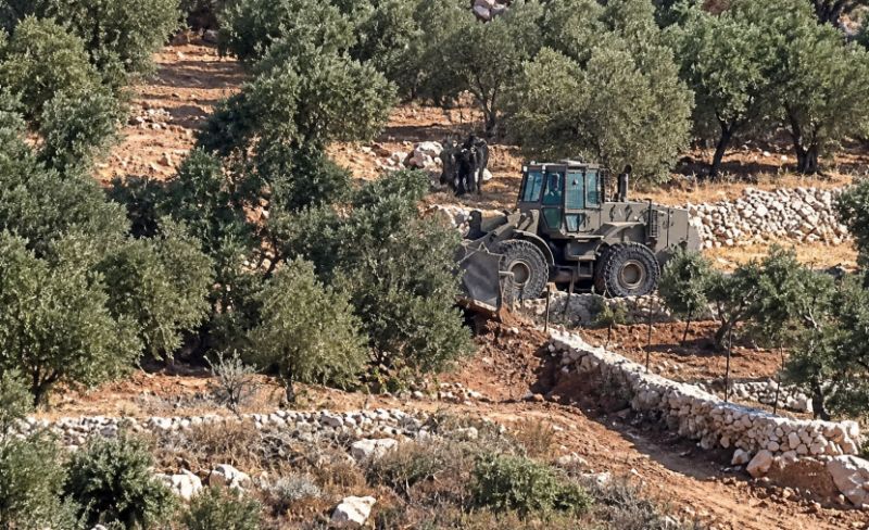 سِلال بلا ثمار.. زيتون "بيت ريما" المعمر يُذبح عشية القطاف