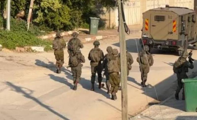 الاحتلال يداهم منتزه في ضاحية شويكة بطولكرم ويستولي على حيوانات برية